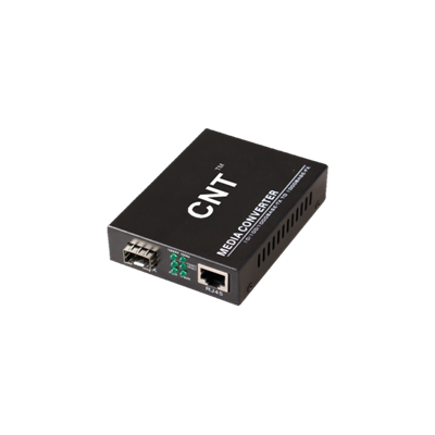 NT-1000SFP.png